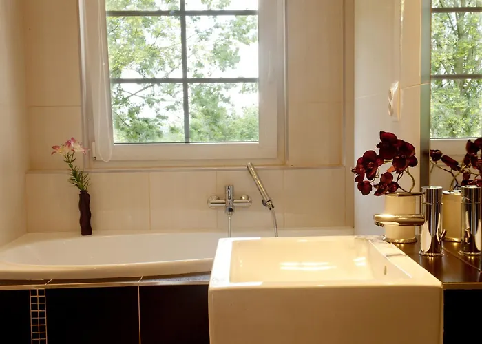 Element Daire Jeseník